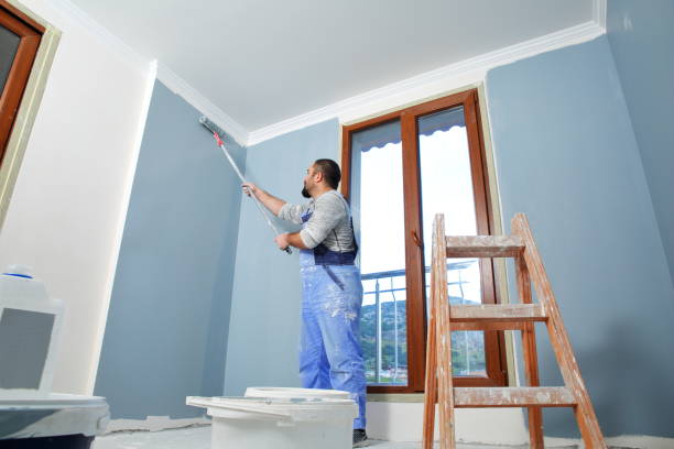 Best Post-Construction Mold Inspection  in Kihei, HI