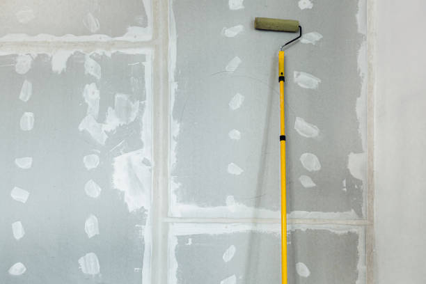 Best Mold Damage Restoration  in Kihei, HI