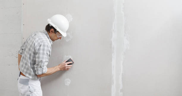 Best Mold-Related Health Consultation  in Kihei, HI