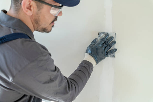 Best Airborne Mold Testing  in Kihei, HI