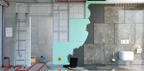 Best Basement Mold Removal  in Kihei, HI