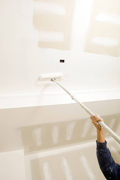 Trusted Kihei, HI Mold Removal Experts