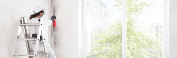 Best Indoor Air Quality Assessment  in Kihei, HI