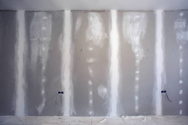Best Real Estate Mold Inspection  in Kihei, HI